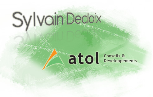 Sylvain Decloix Sylvain Decloix